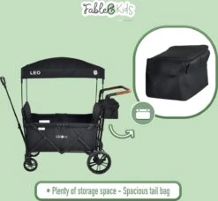 FableKids LEO X2 Lite Opvouwbare Handkar Met Dak Onyx Zwart -Outdoor Camping Winkel 1200x1109 1