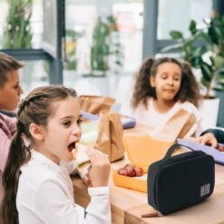 Brisby 4 Laags Geïsoleerde Koeltas - Lunchtas 1.5 Liter - Zwart -Outdoor Camping Winkel 1200x1200 295